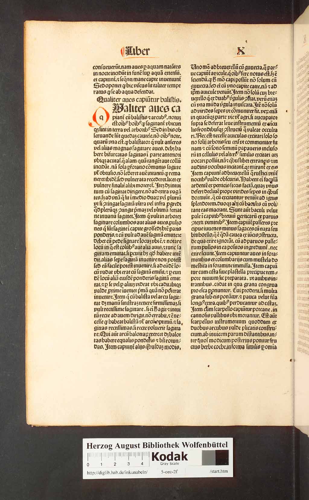 http://diglib.hab.de/inkunabeln/5-oec-2f/00270.jpg