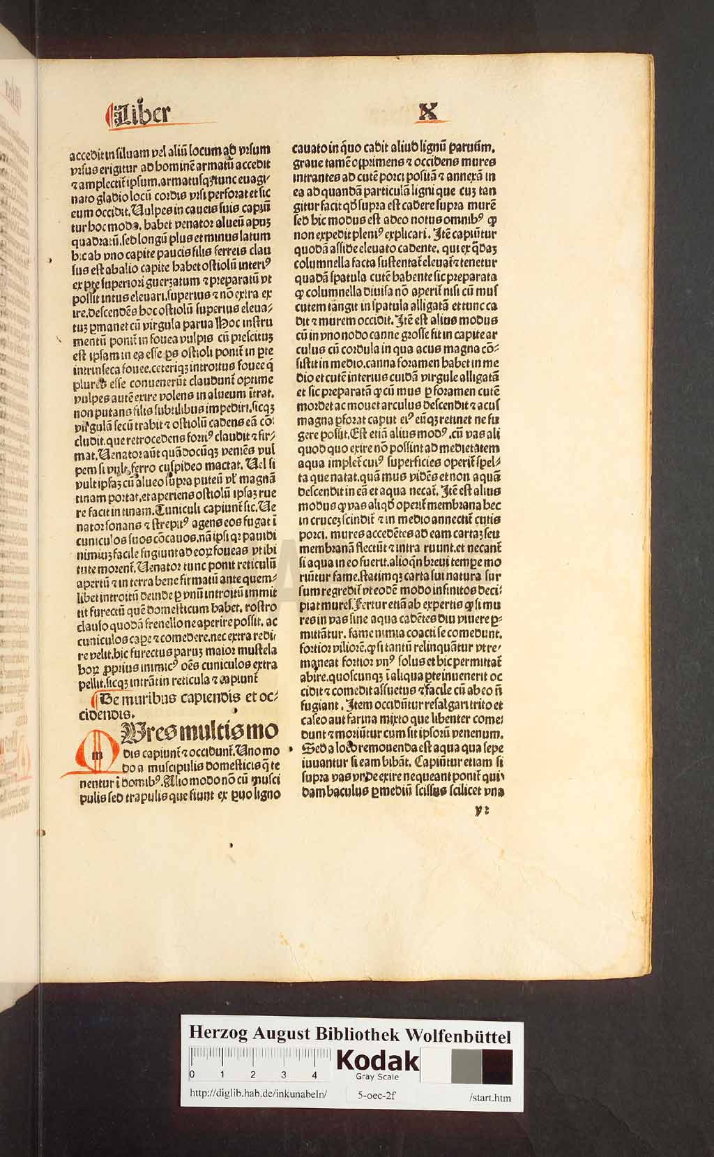 http://diglib.hab.de/inkunabeln/5-oec-2f/00273.jpg
