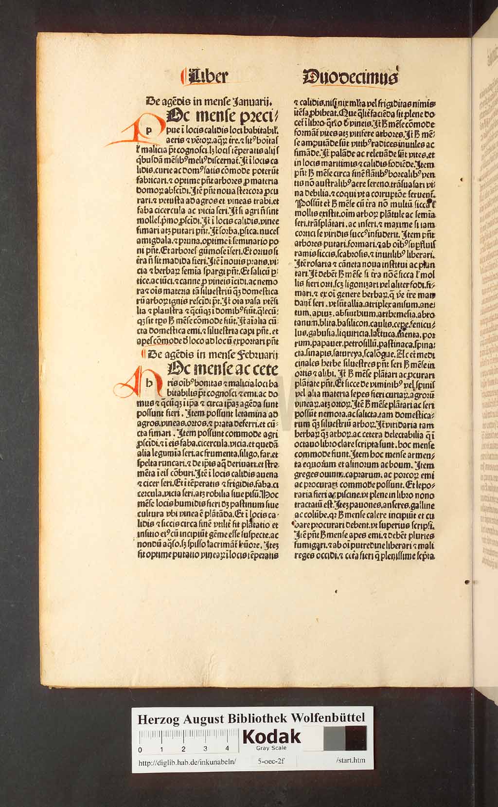 http://diglib.hab.de/inkunabeln/5-oec-2f/00292.jpg