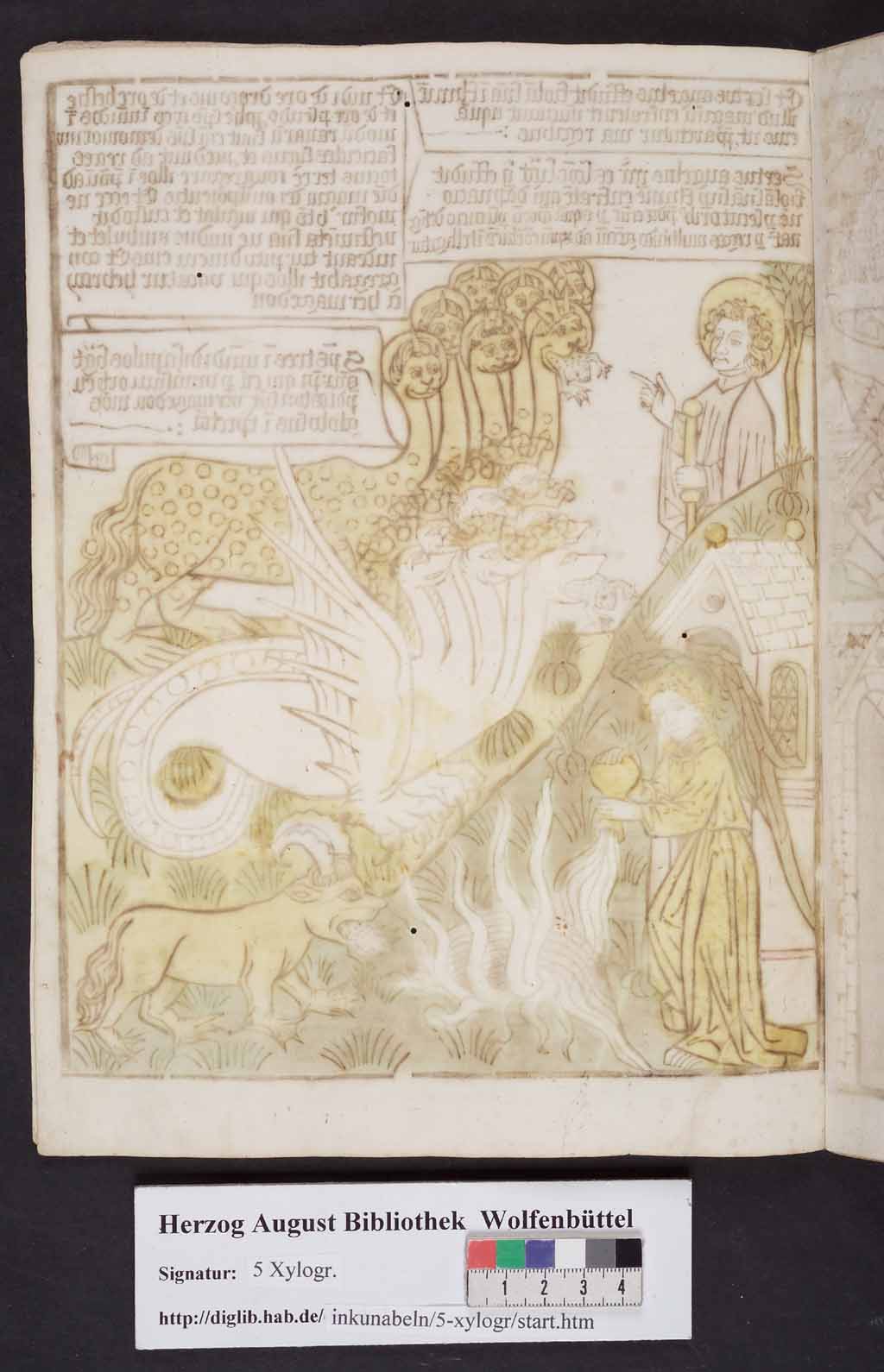 http://diglib.hab.de/inkunabeln/5-xylogr/00072.jpg