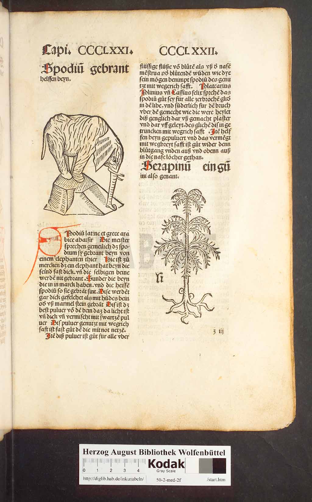 http://diglib.hab.de/inkunabeln/50-2-med-2f/00361.jpg