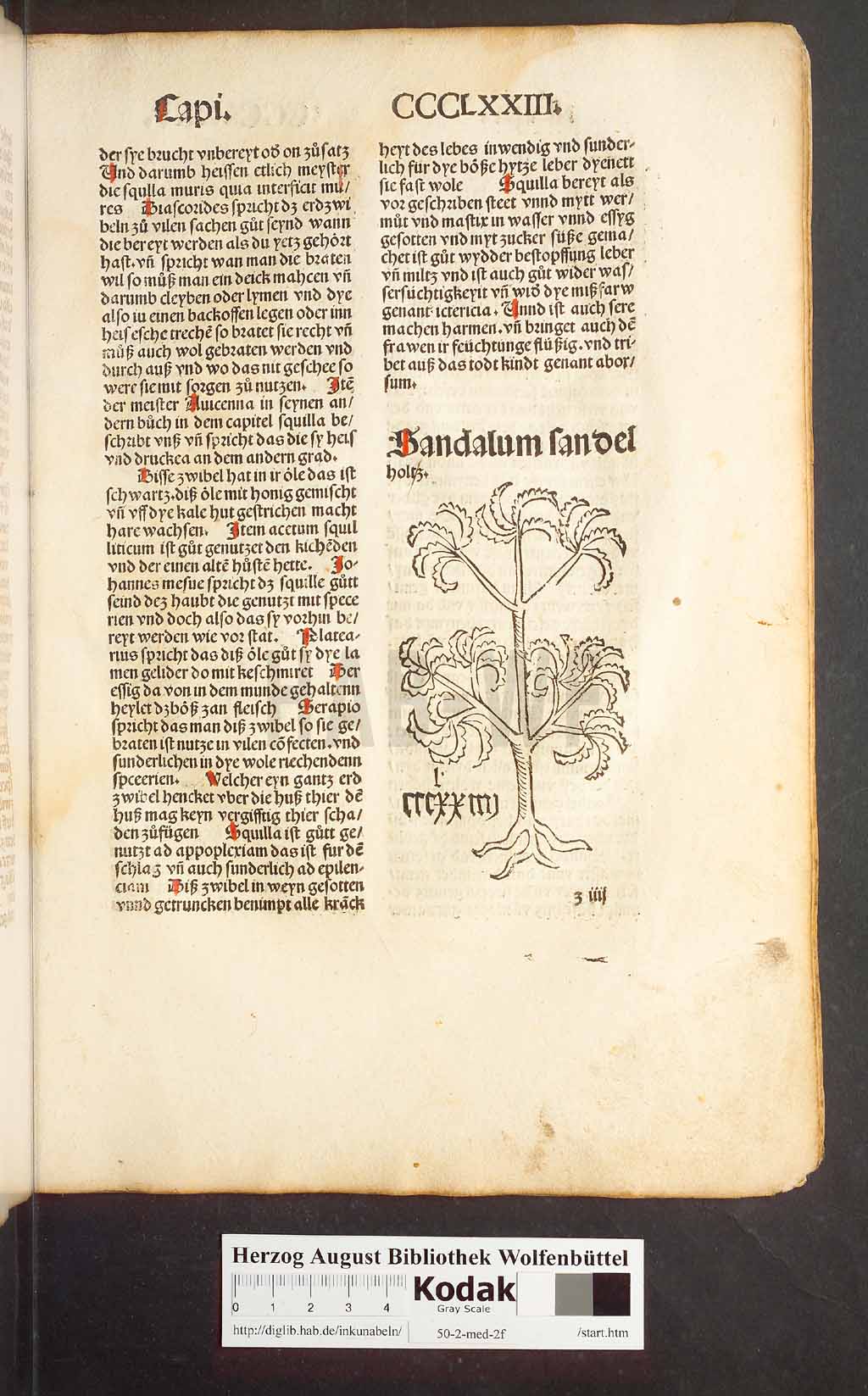http://diglib.hab.de/inkunabeln/50-2-med-2f/00363.jpg