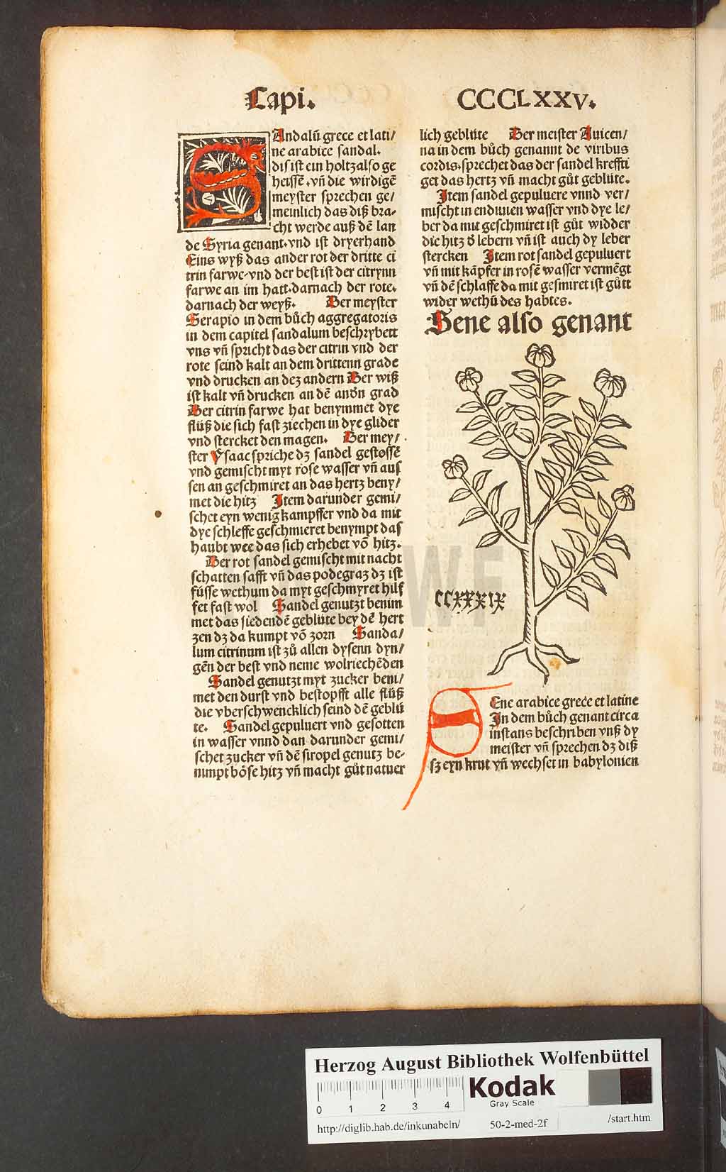 http://diglib.hab.de/inkunabeln/50-2-med-2f/00364.jpg