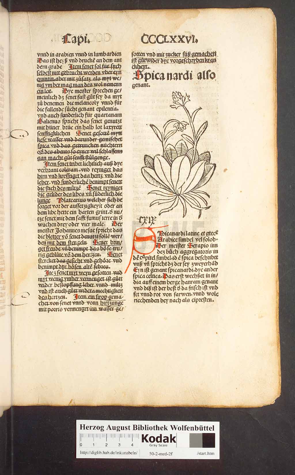 http://diglib.hab.de/inkunabeln/50-2-med-2f/00365.jpg