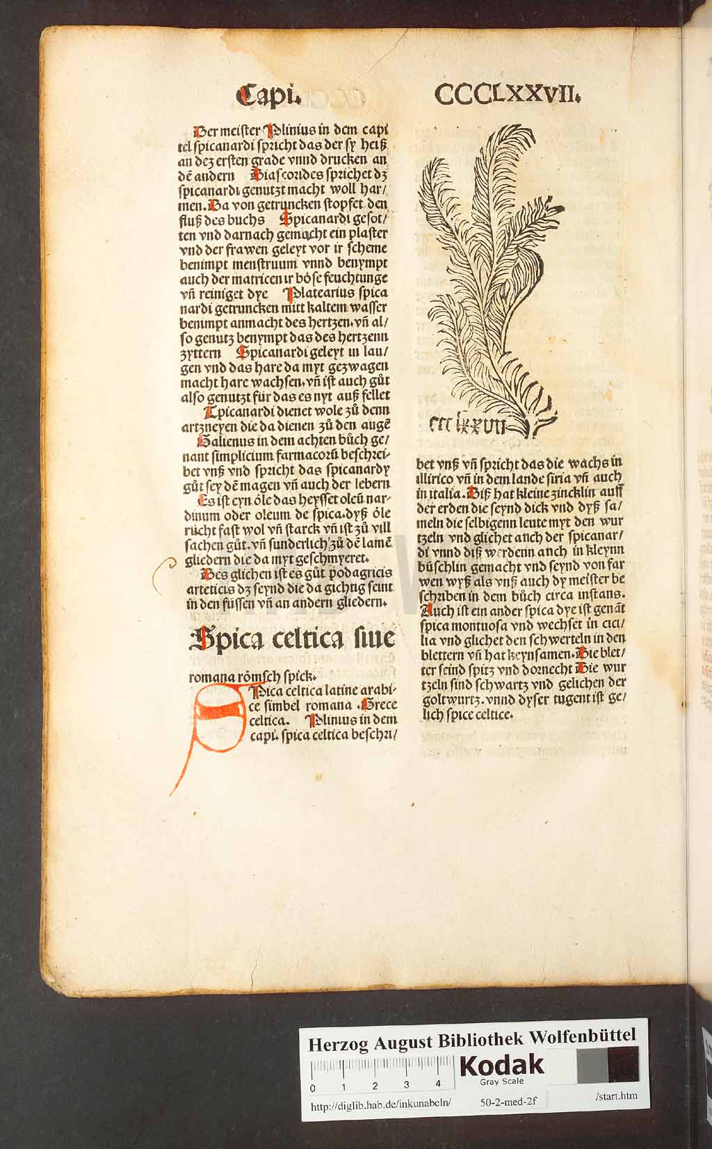 http://diglib.hab.de/inkunabeln/50-2-med-2f/00366.jpg