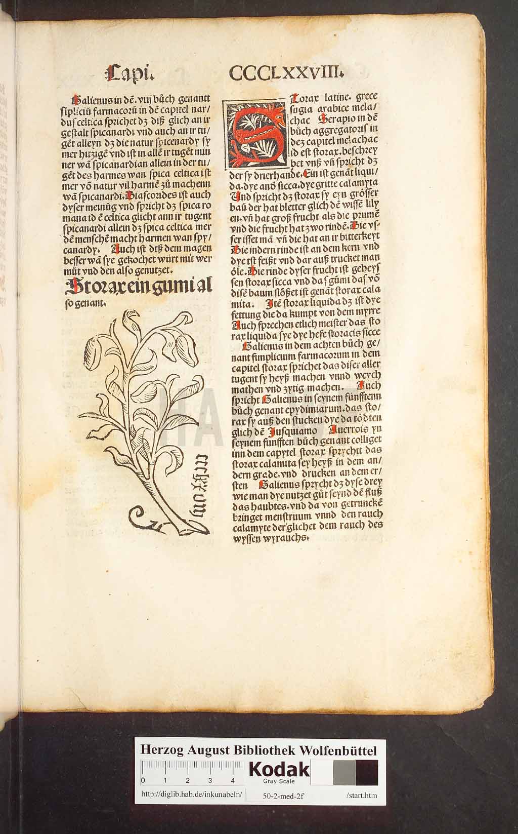 http://diglib.hab.de/inkunabeln/50-2-med-2f/00367.jpg