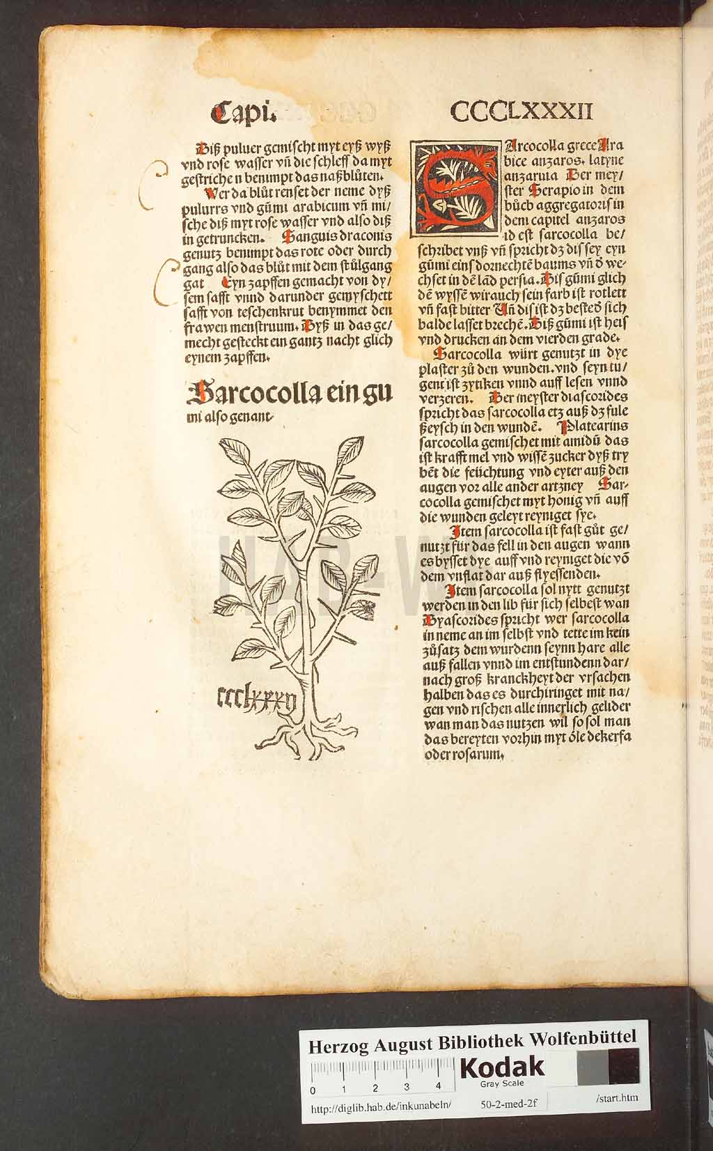 http://diglib.hab.de/inkunabeln/50-2-med-2f/00370.jpg