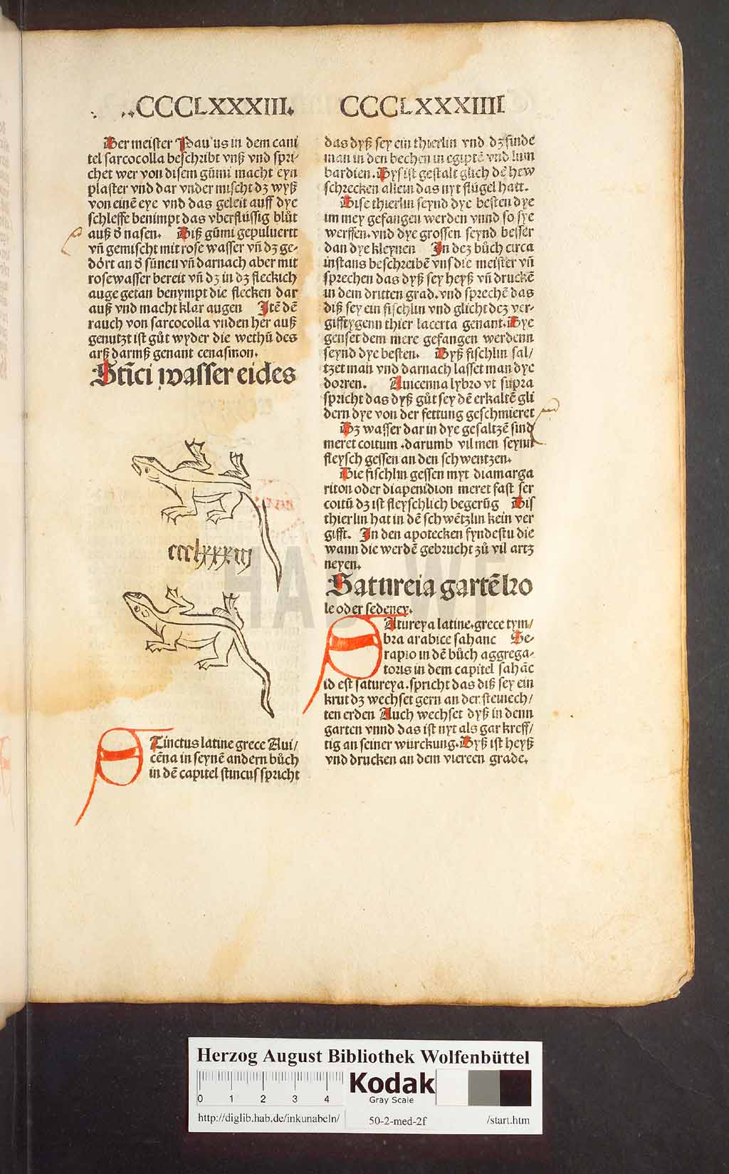 http://diglib.hab.de/inkunabeln/50-2-med-2f/00371.jpg