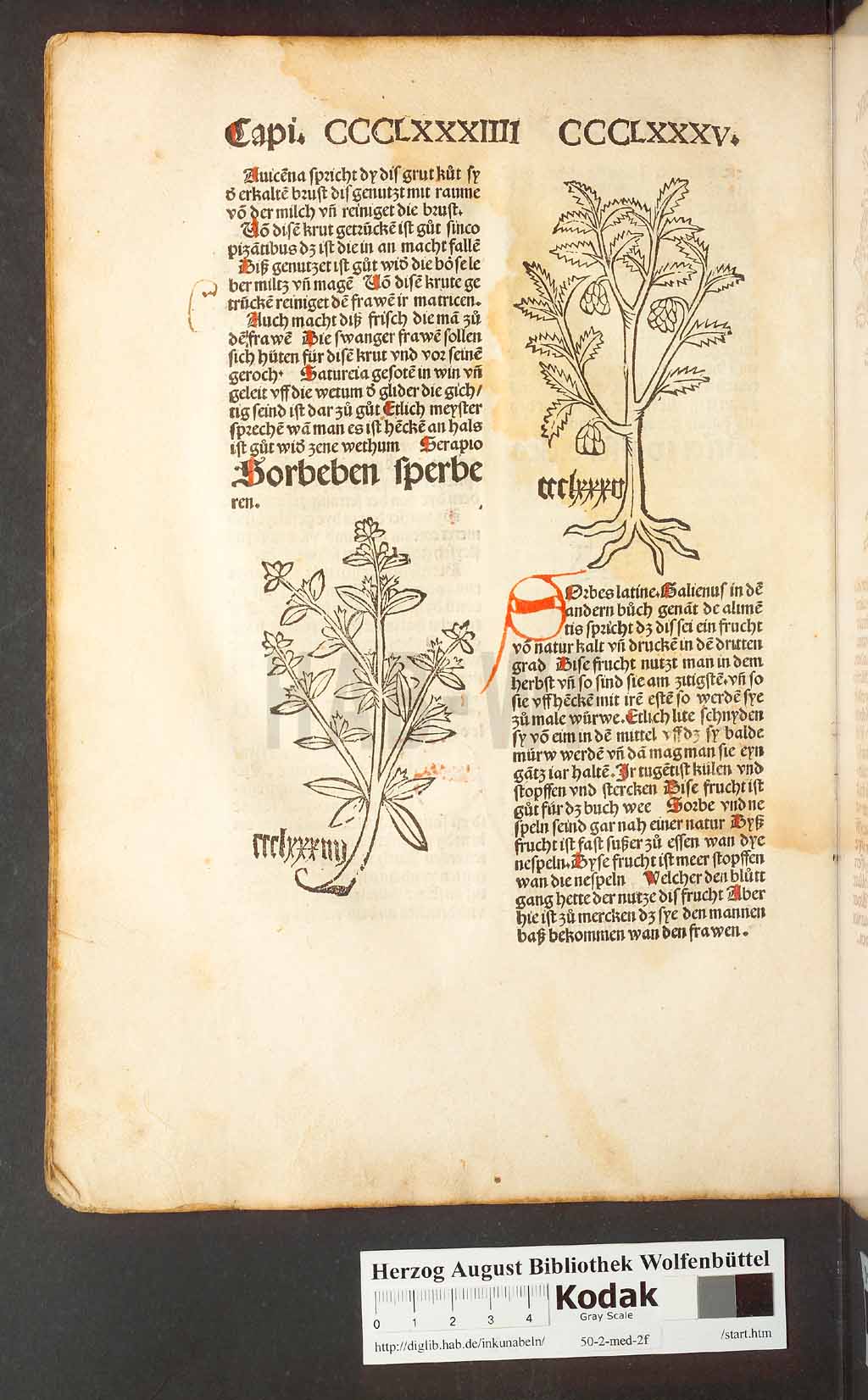 http://diglib.hab.de/inkunabeln/50-2-med-2f/00372.jpg
