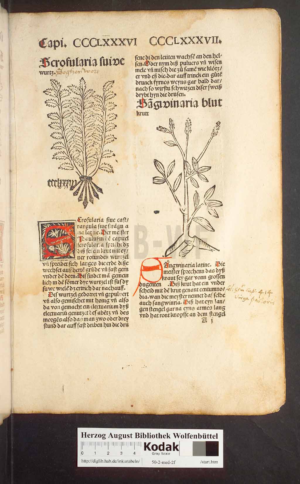 http://diglib.hab.de/inkunabeln/50-2-med-2f/00373.jpg