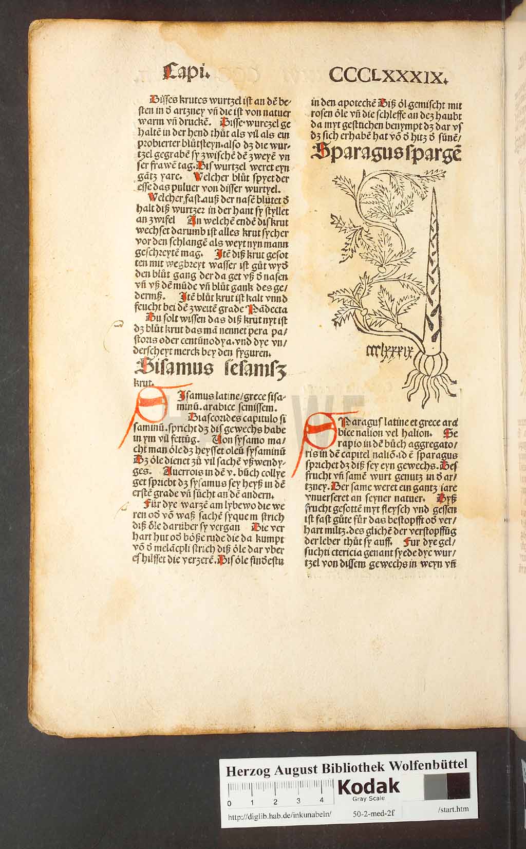 http://diglib.hab.de/inkunabeln/50-2-med-2f/00374.jpg