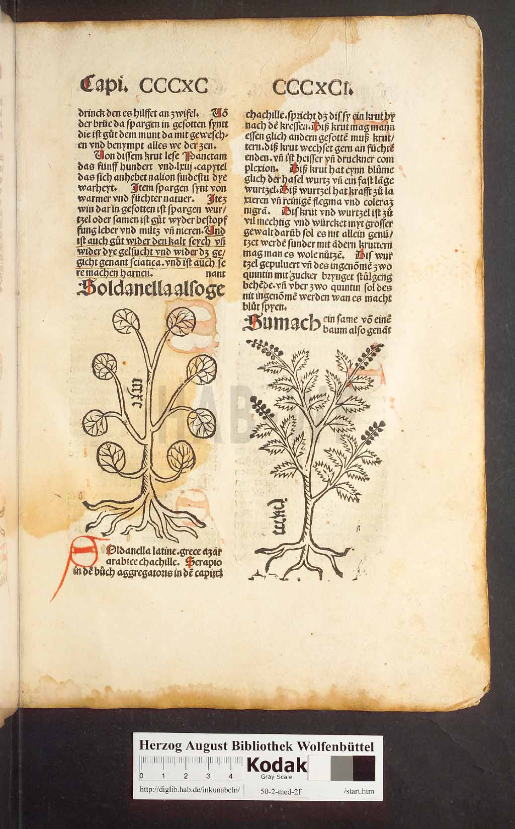 http://diglib.hab.de/inkunabeln/50-2-med-2f/00375.jpg