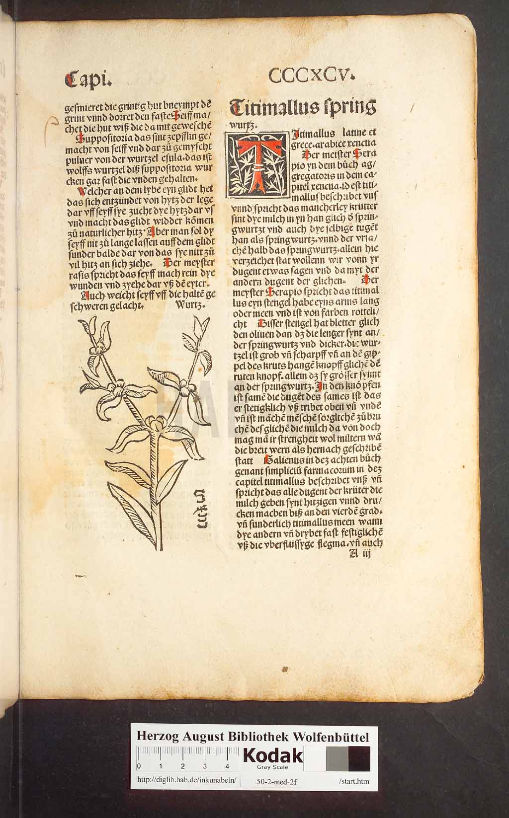 http://diglib.hab.de/inkunabeln/50-2-med-2f/00377.jpg