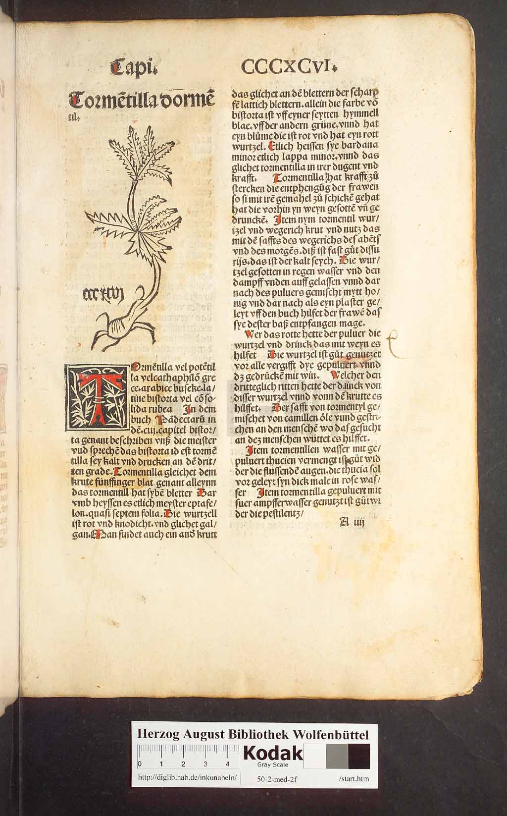 http://diglib.hab.de/inkunabeln/50-2-med-2f/00379.jpg