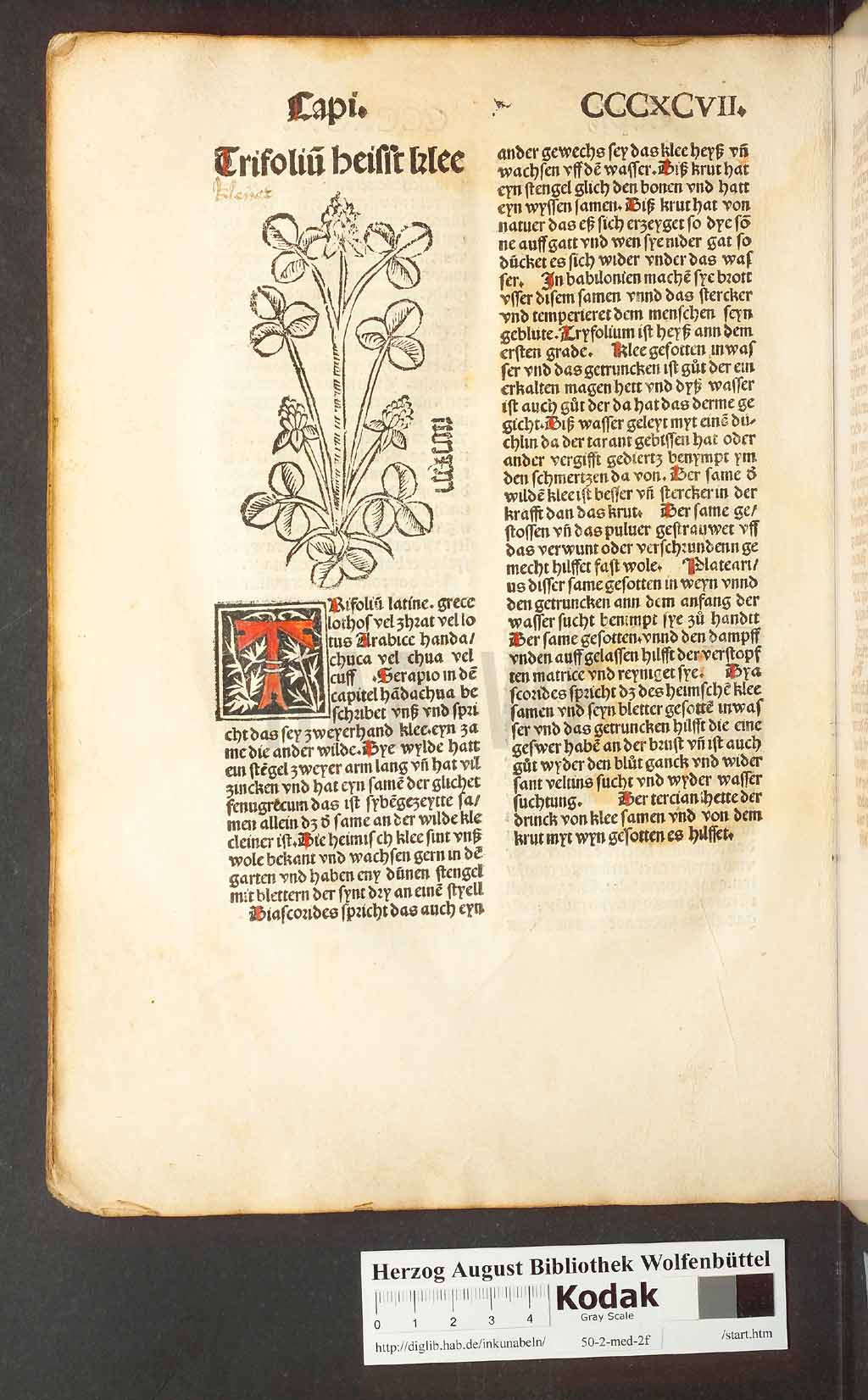 http://diglib.hab.de/inkunabeln/50-2-med-2f/00380.jpg