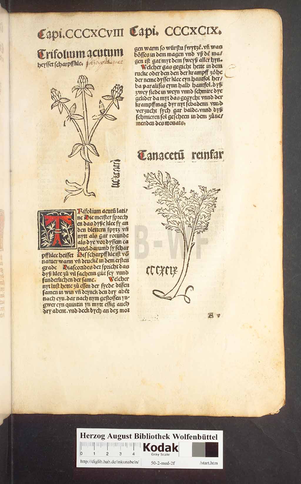 http://diglib.hab.de/inkunabeln/50-2-med-2f/00381.jpg