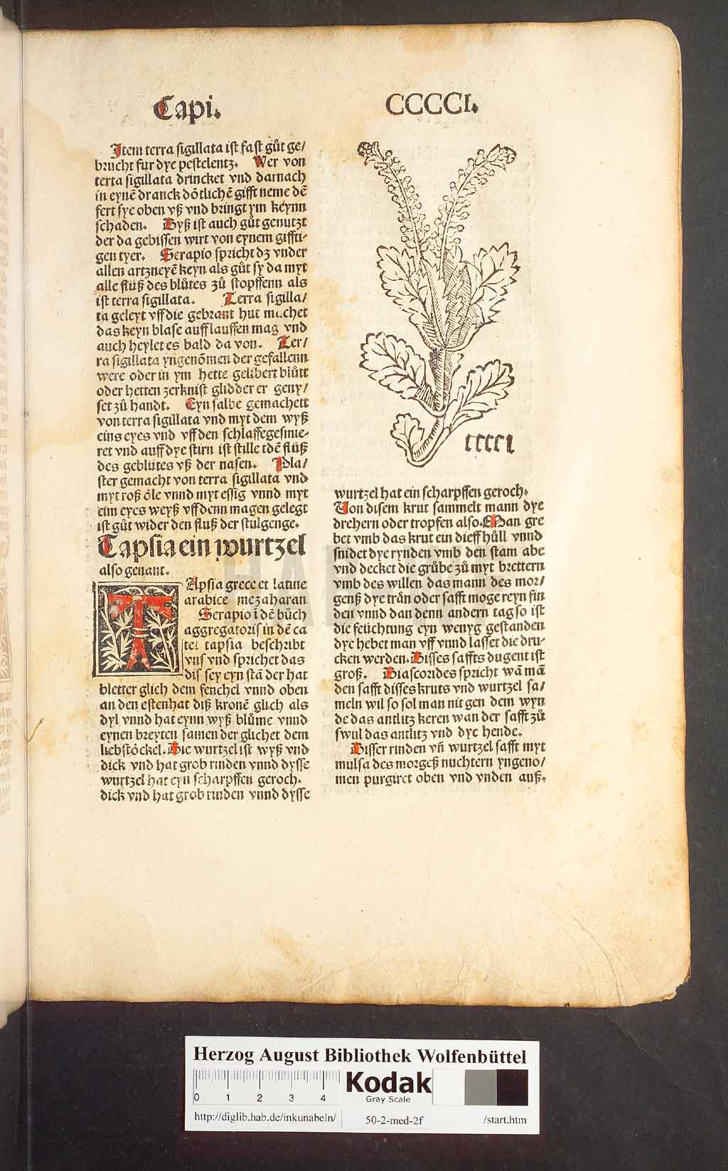 http://diglib.hab.de/inkunabeln/50-2-med-2f/00383.jpg