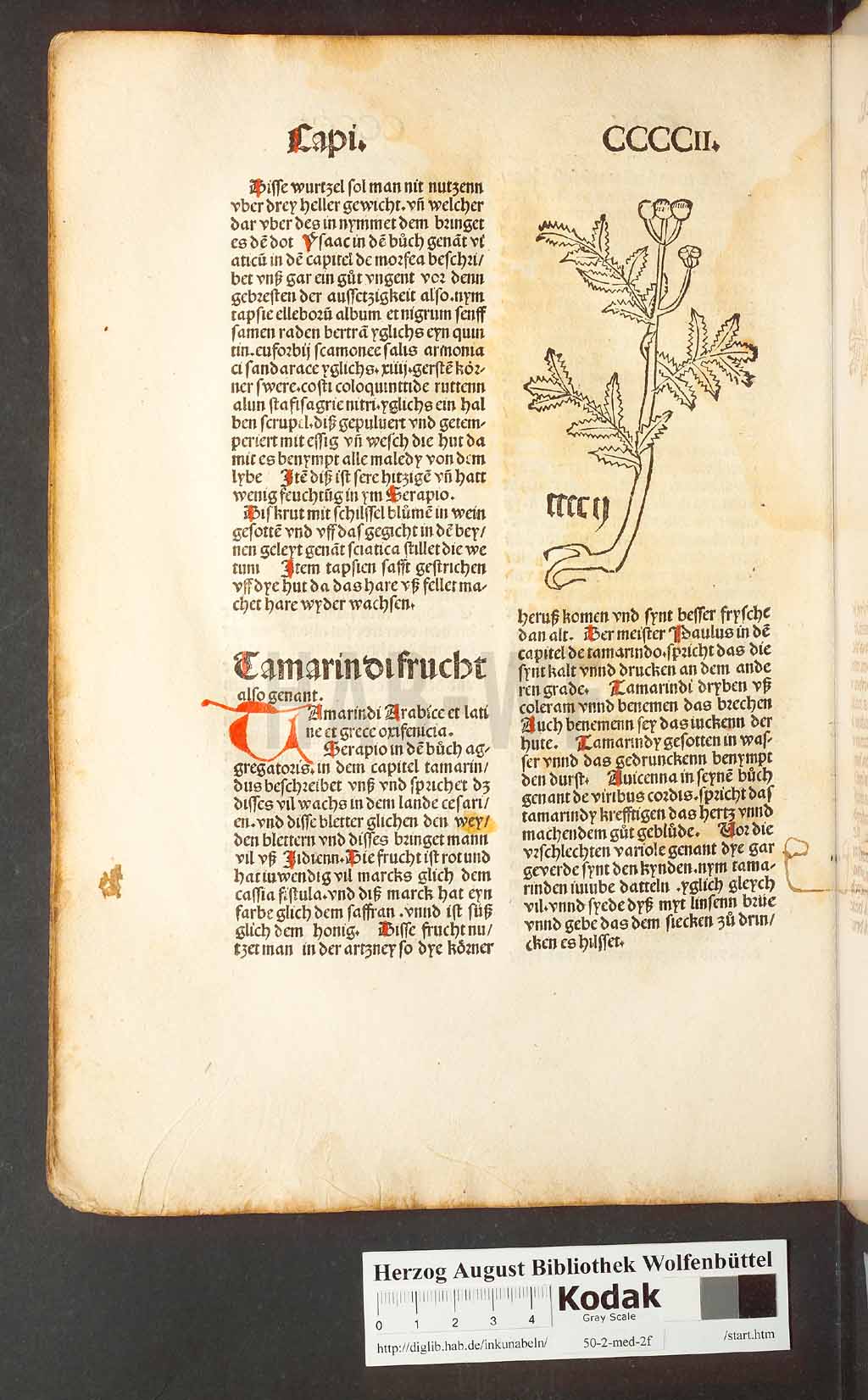 http://diglib.hab.de/inkunabeln/50-2-med-2f/00384.jpg