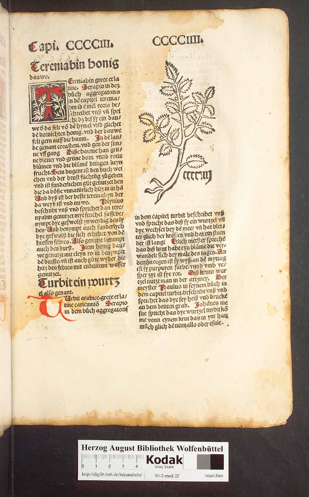 http://diglib.hab.de/inkunabeln/50-2-med-2f/00385.jpg