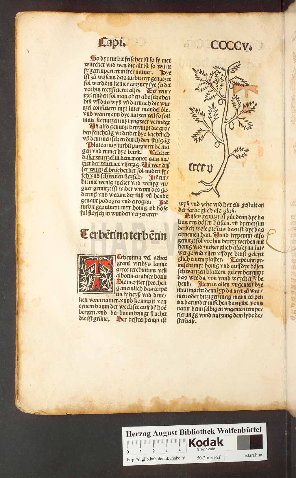 http://diglib.hab.de/inkunabeln/50-2-med-2f/00386.jpg