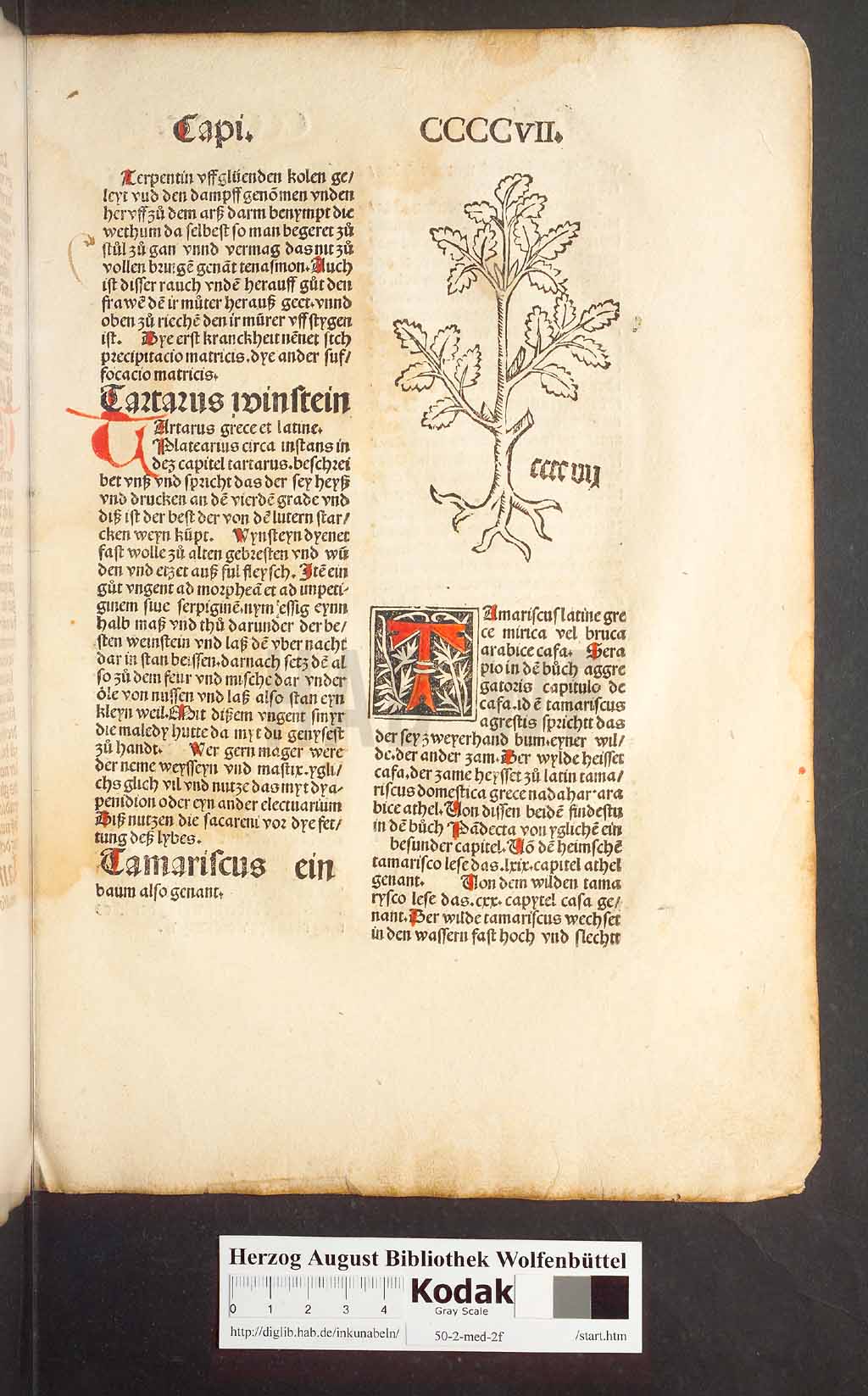 http://diglib.hab.de/inkunabeln/50-2-med-2f/00387.jpg