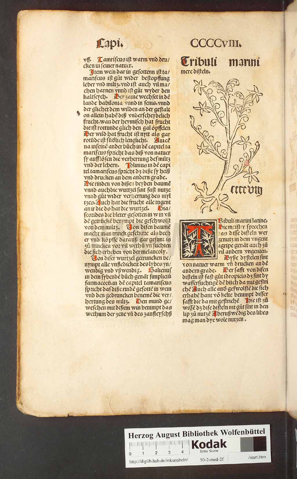 http://diglib.hab.de/inkunabeln/50-2-med-2f/00388.jpg