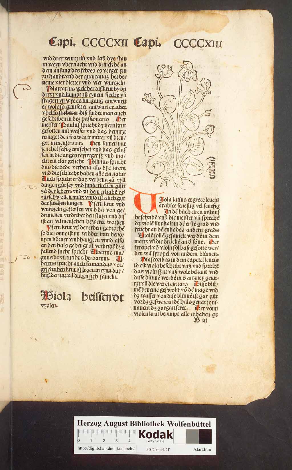 http://diglib.hab.de/inkunabeln/50-2-med-2f/00393.jpg