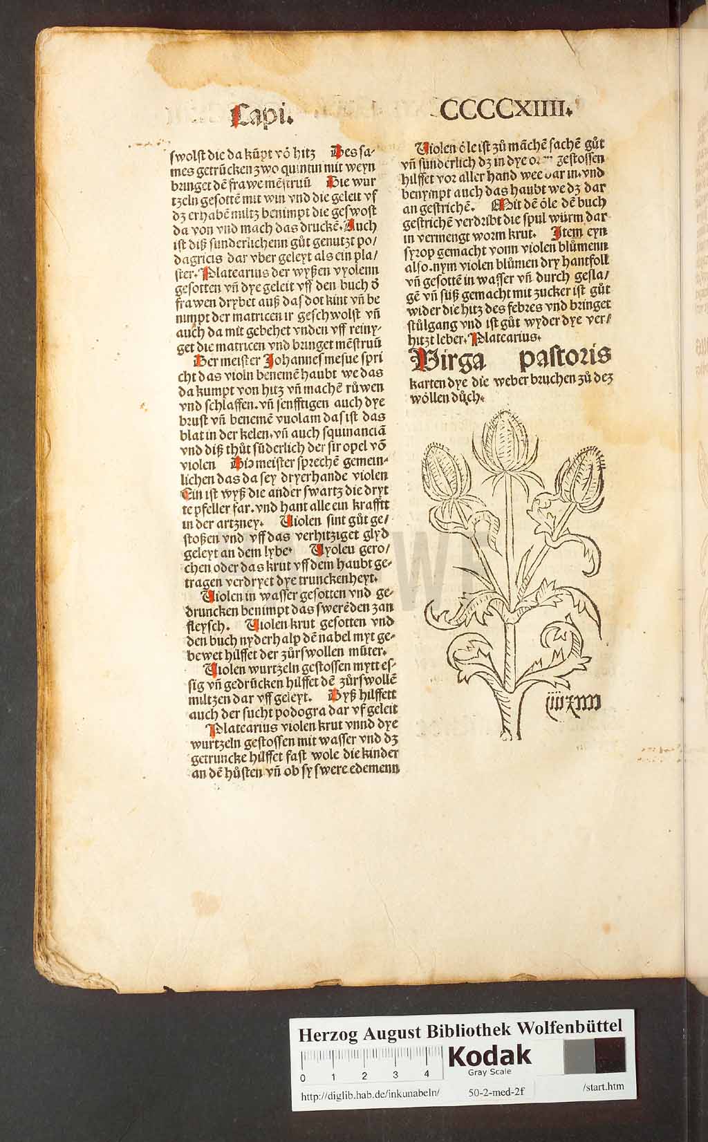 http://diglib.hab.de/inkunabeln/50-2-med-2f/00394.jpg