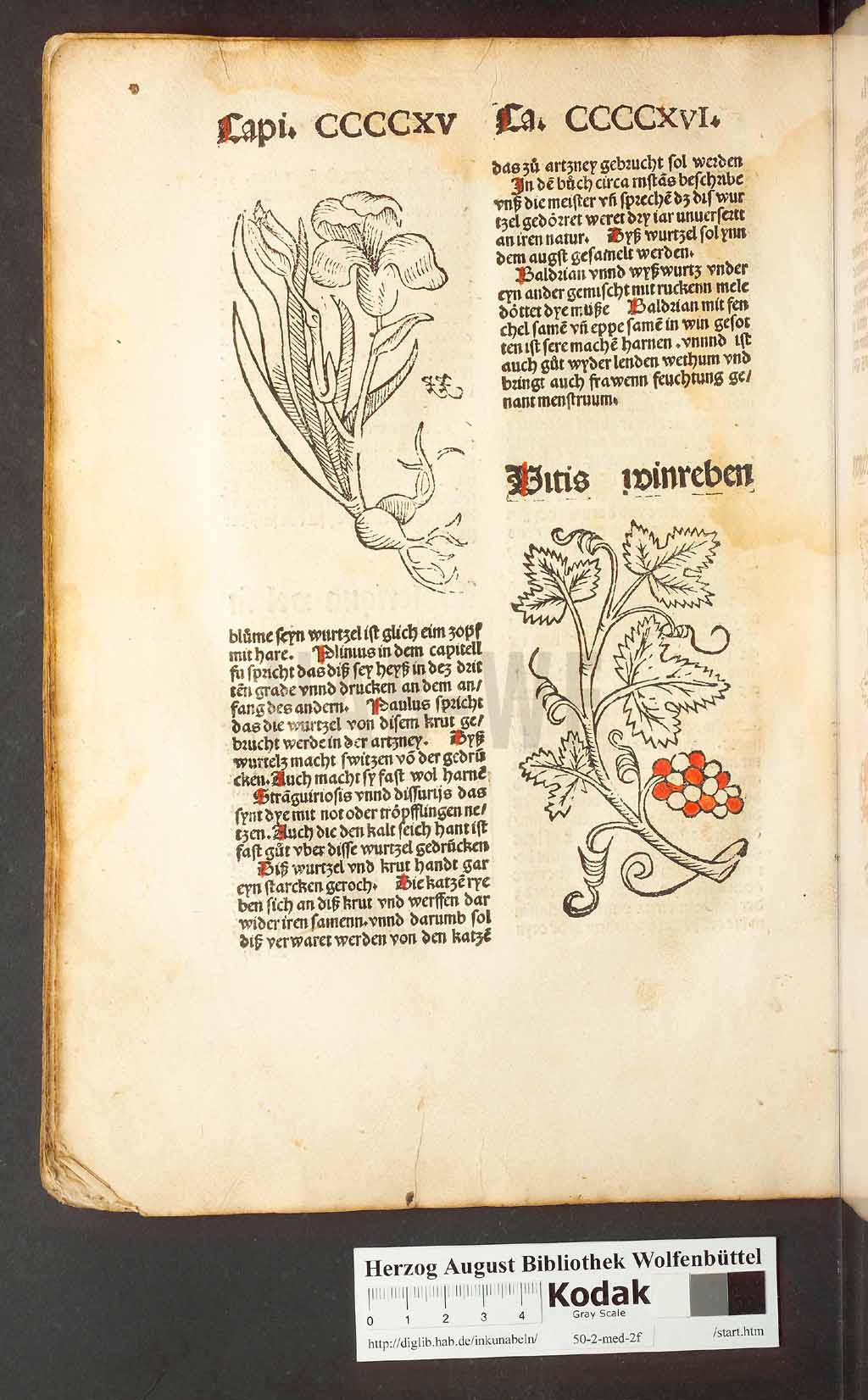 http://diglib.hab.de/inkunabeln/50-2-med-2f/00396.jpg