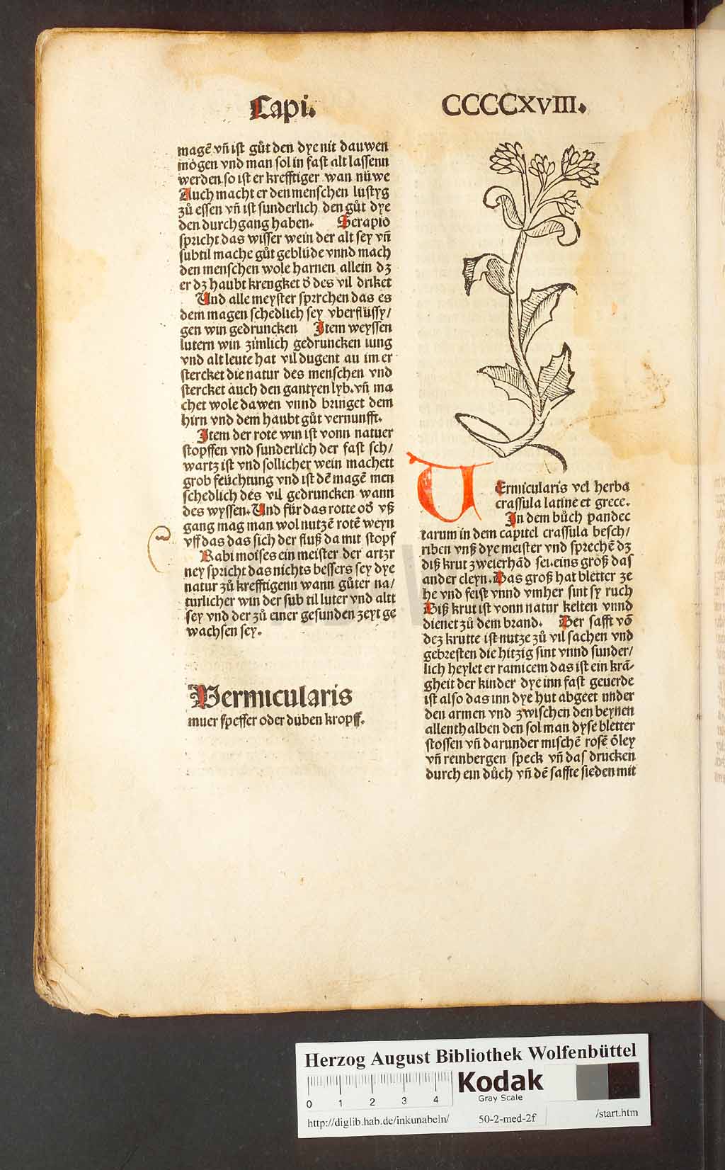 http://diglib.hab.de/inkunabeln/50-2-med-2f/00398.jpg