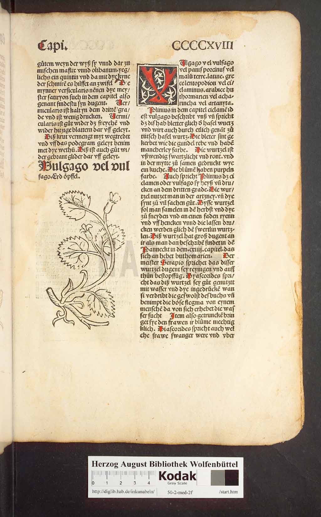 http://diglib.hab.de/inkunabeln/50-2-med-2f/00399.jpg