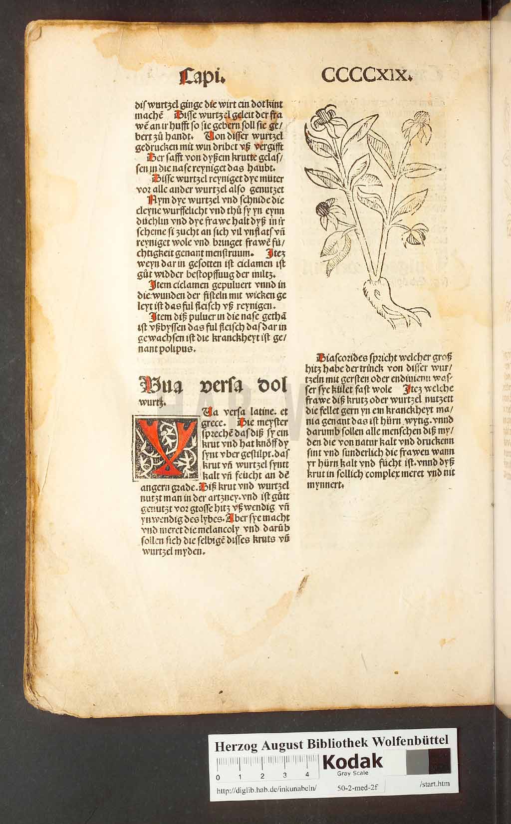 http://diglib.hab.de/inkunabeln/50-2-med-2f/00400.jpg