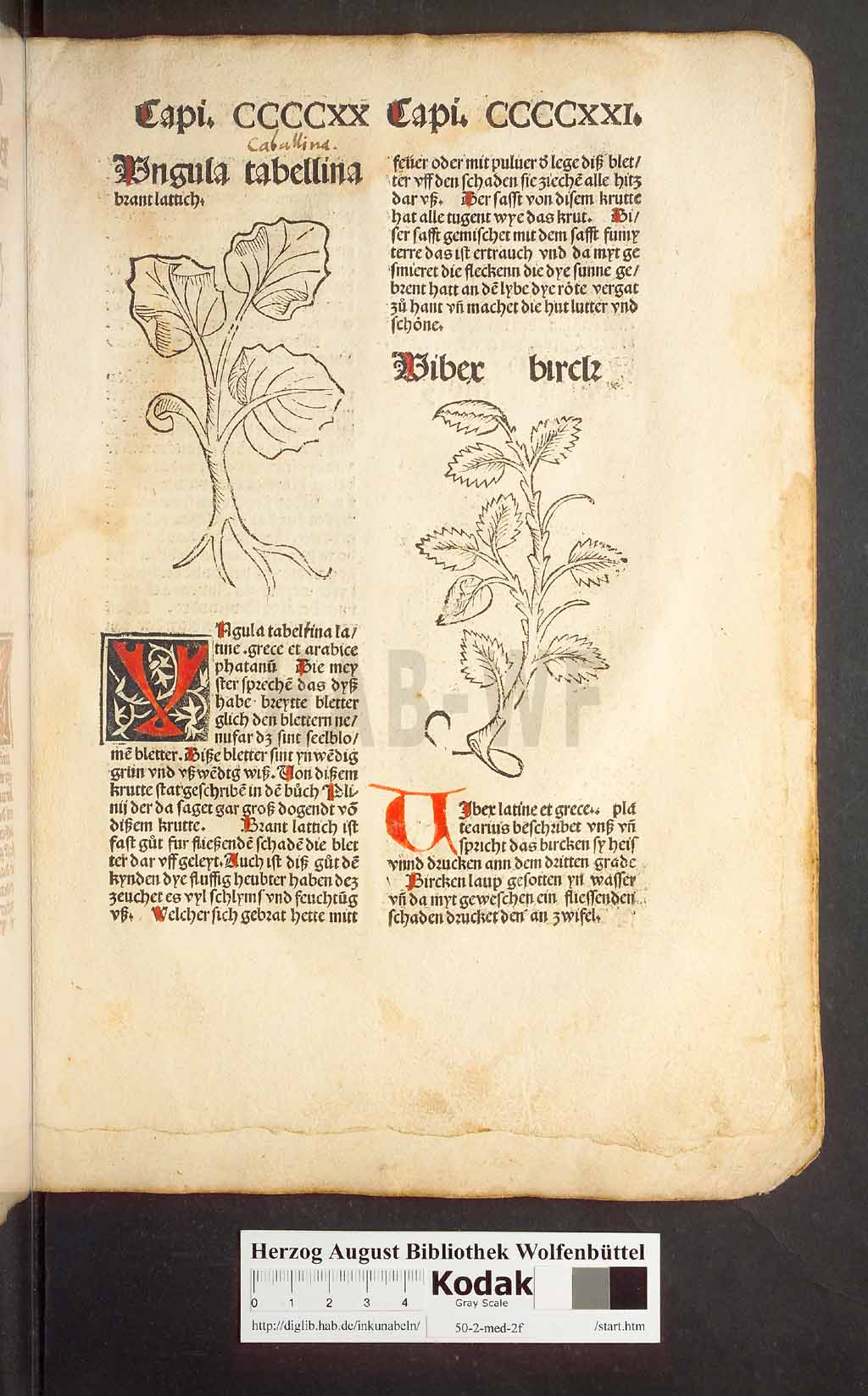http://diglib.hab.de/inkunabeln/50-2-med-2f/00401.jpg