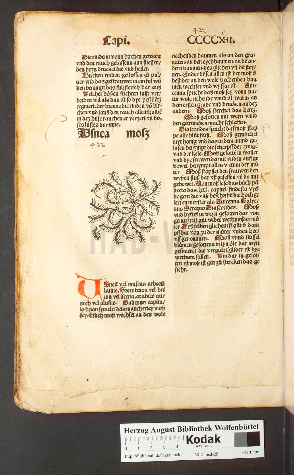http://diglib.hab.de/inkunabeln/50-2-med-2f/00402.jpg