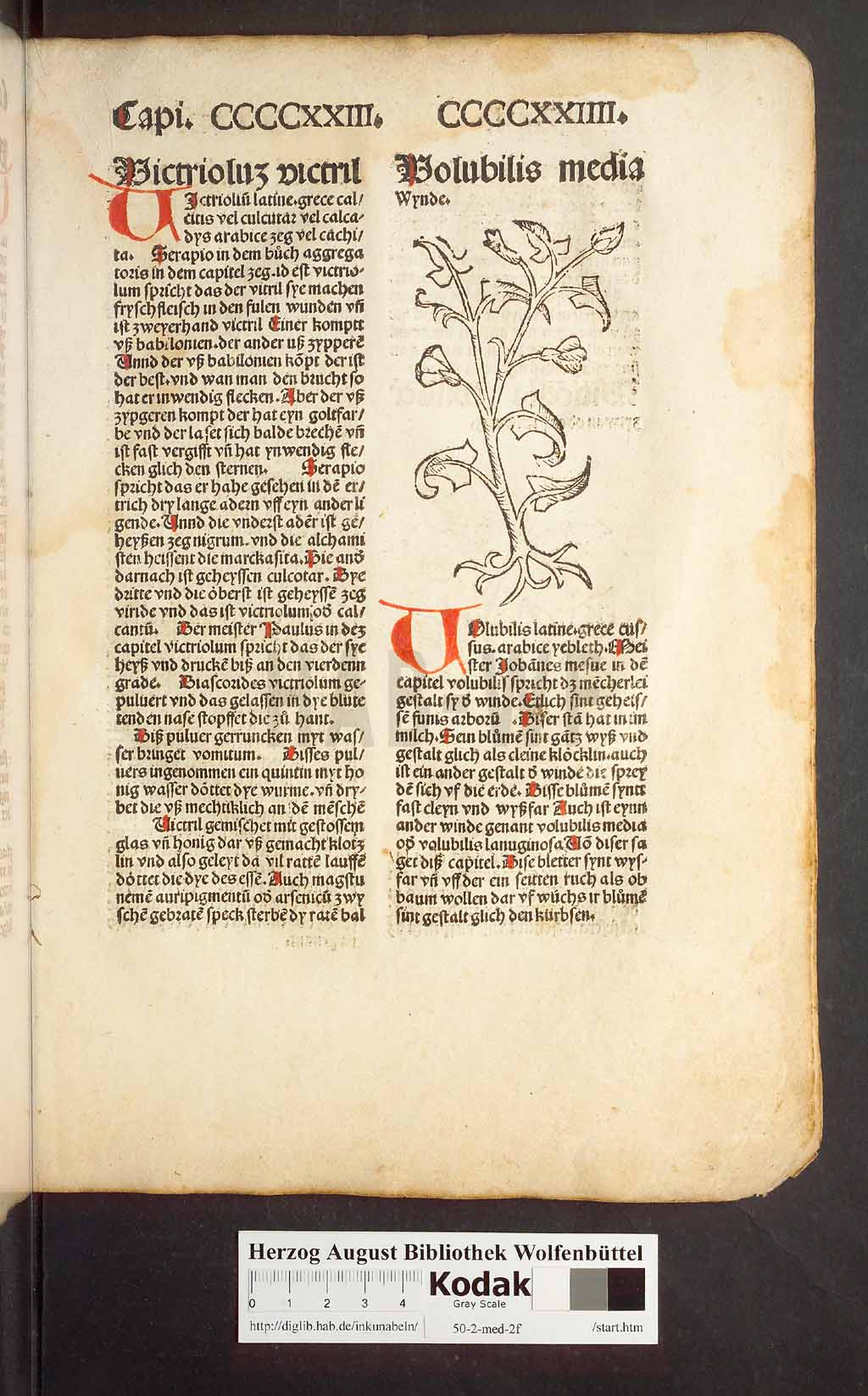 http://diglib.hab.de/inkunabeln/50-2-med-2f/00403.jpg