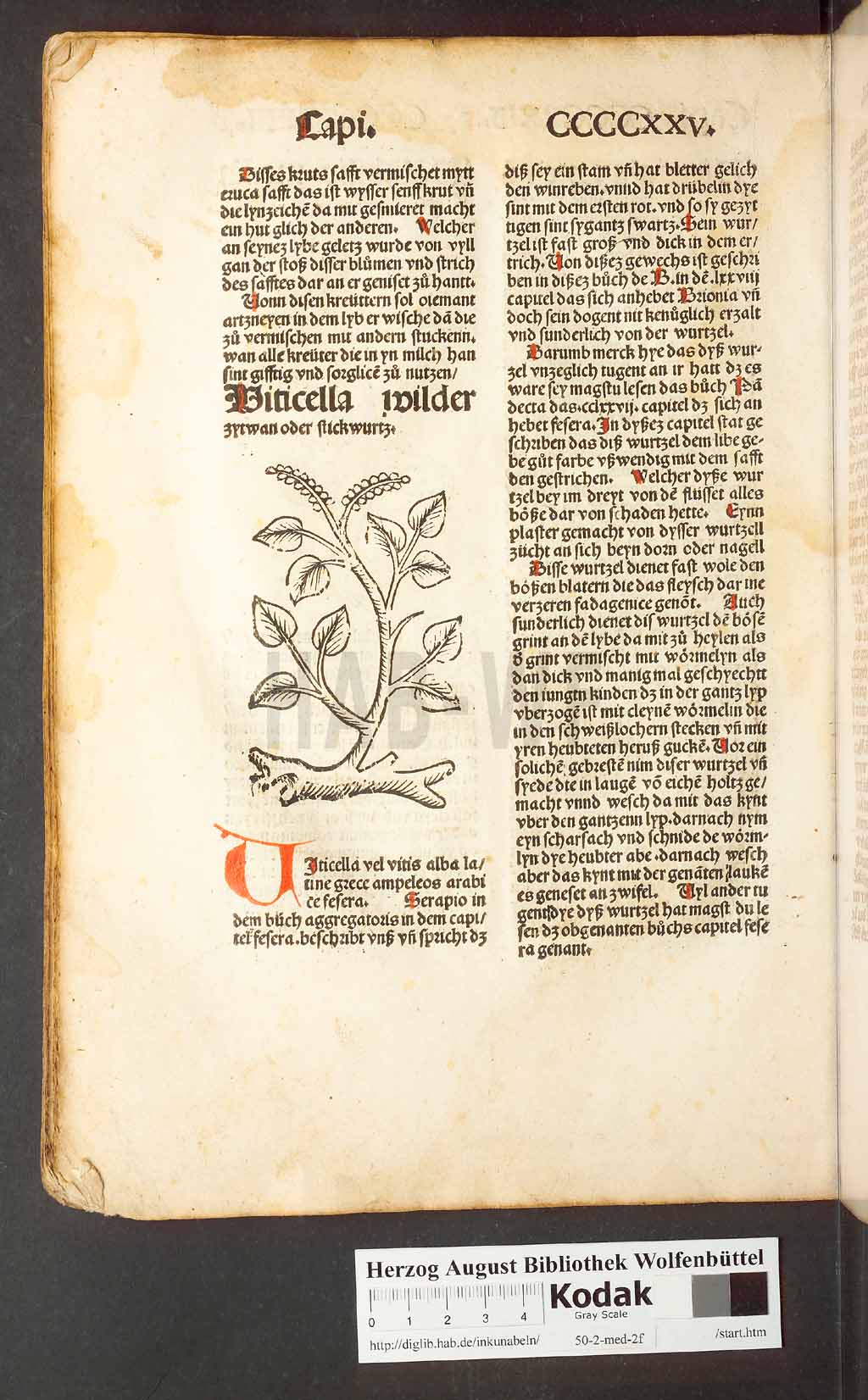 http://diglib.hab.de/inkunabeln/50-2-med-2f/00404.jpg