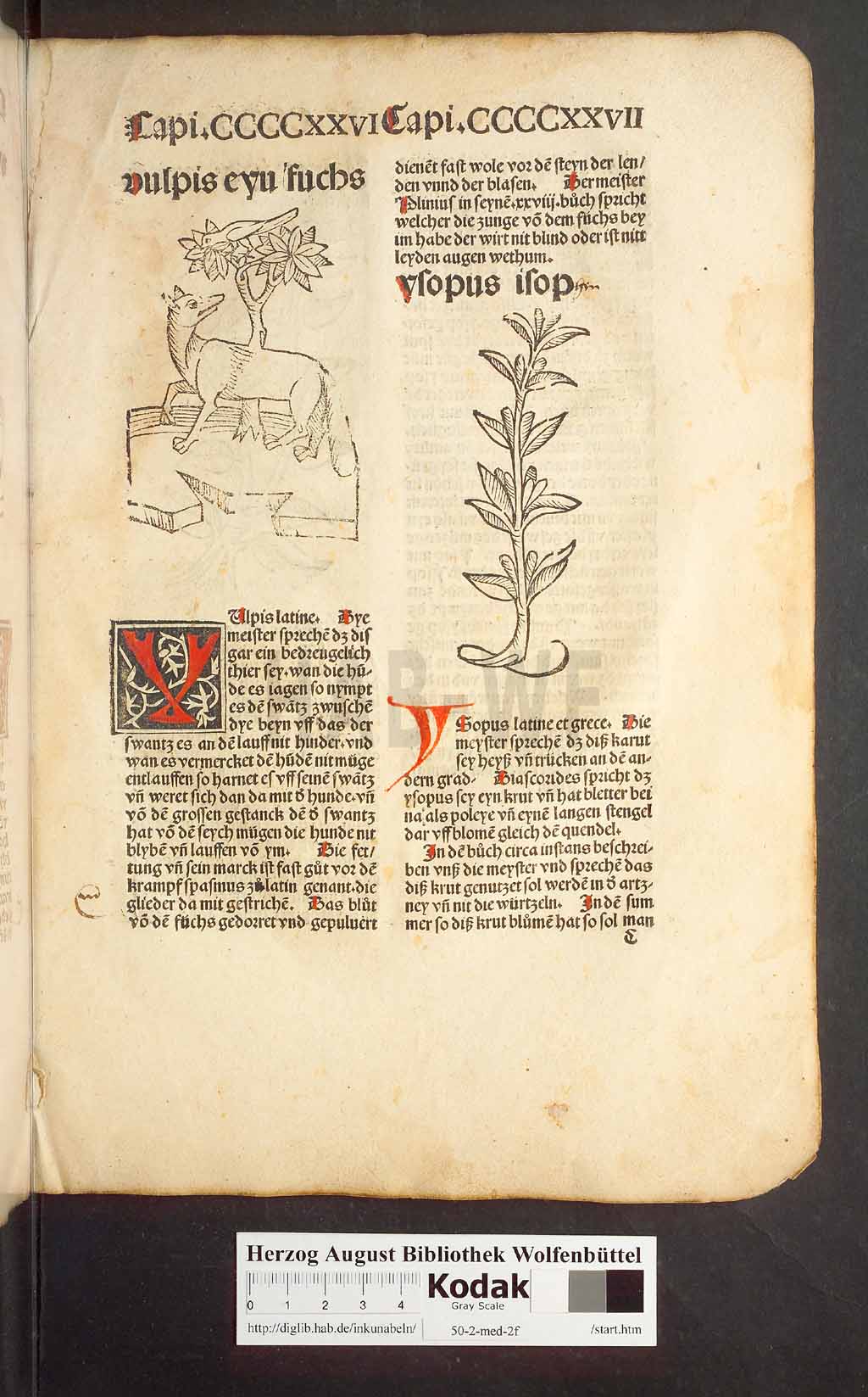 http://diglib.hab.de/inkunabeln/50-2-med-2f/00405.jpg