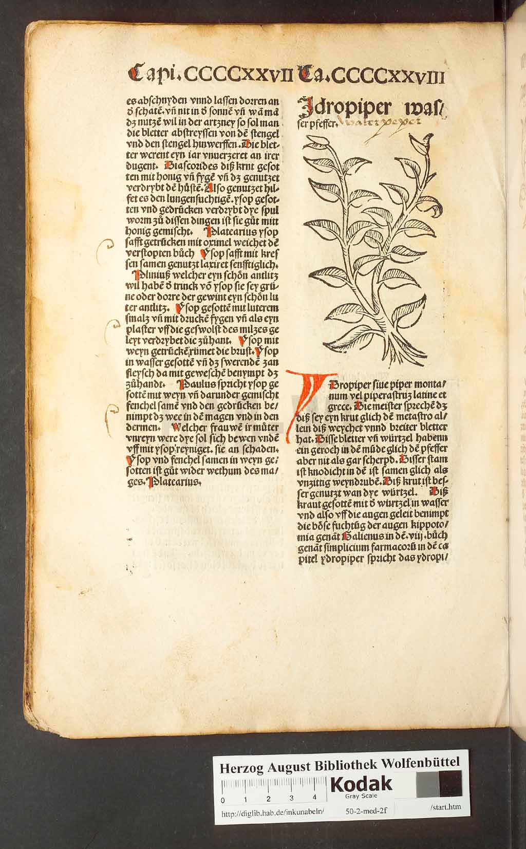 http://diglib.hab.de/inkunabeln/50-2-med-2f/00406.jpg