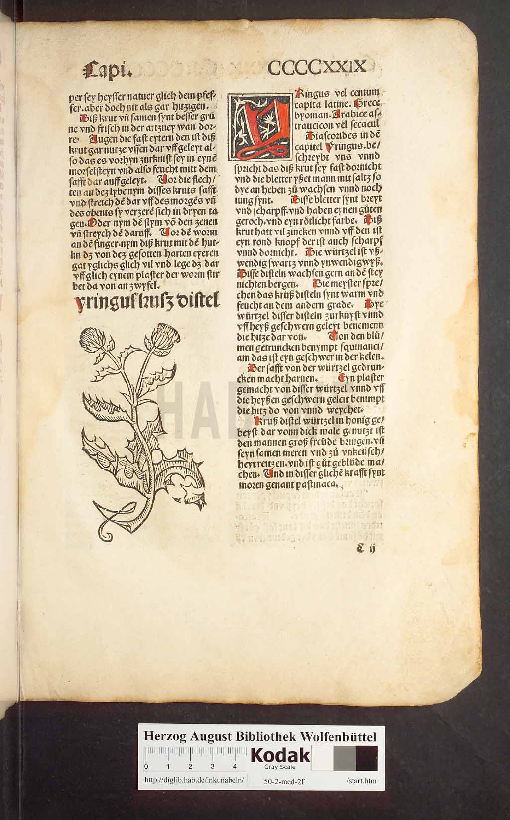 http://diglib.hab.de/inkunabeln/50-2-med-2f/00407.jpg