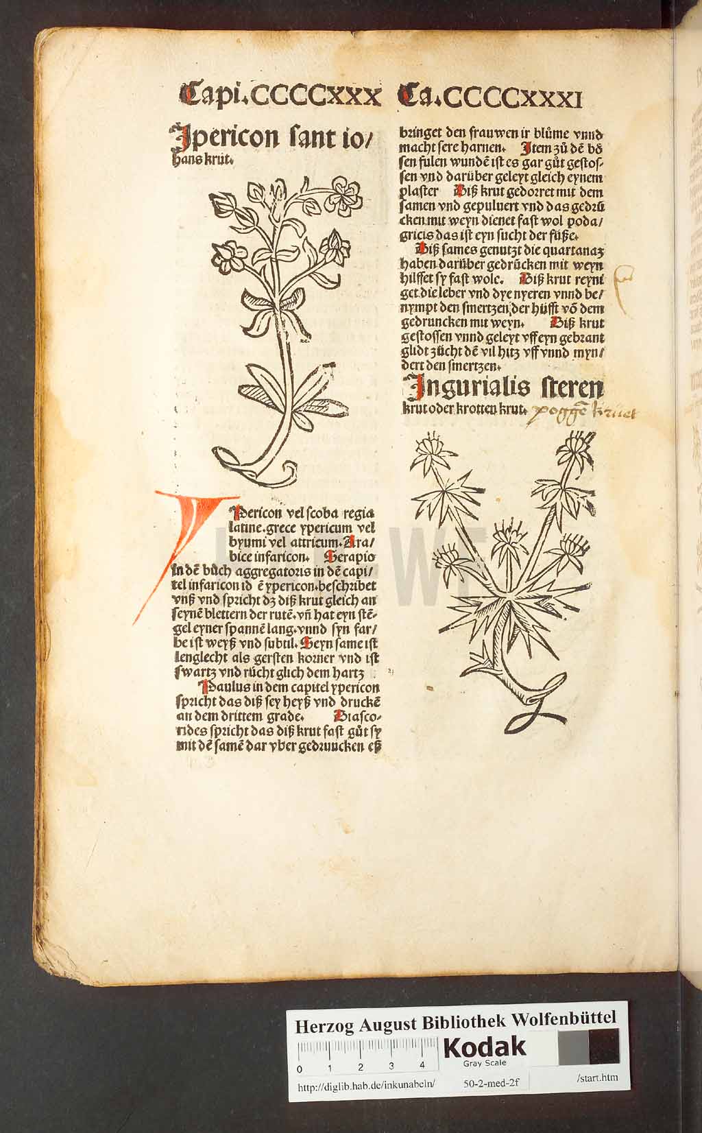 http://diglib.hab.de/inkunabeln/50-2-med-2f/00408.jpg