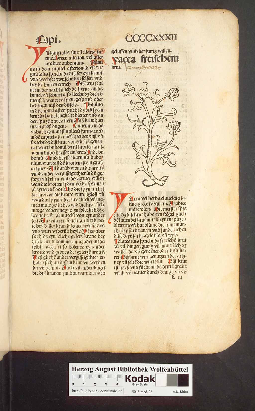 http://diglib.hab.de/inkunabeln/50-2-med-2f/00409.jpg