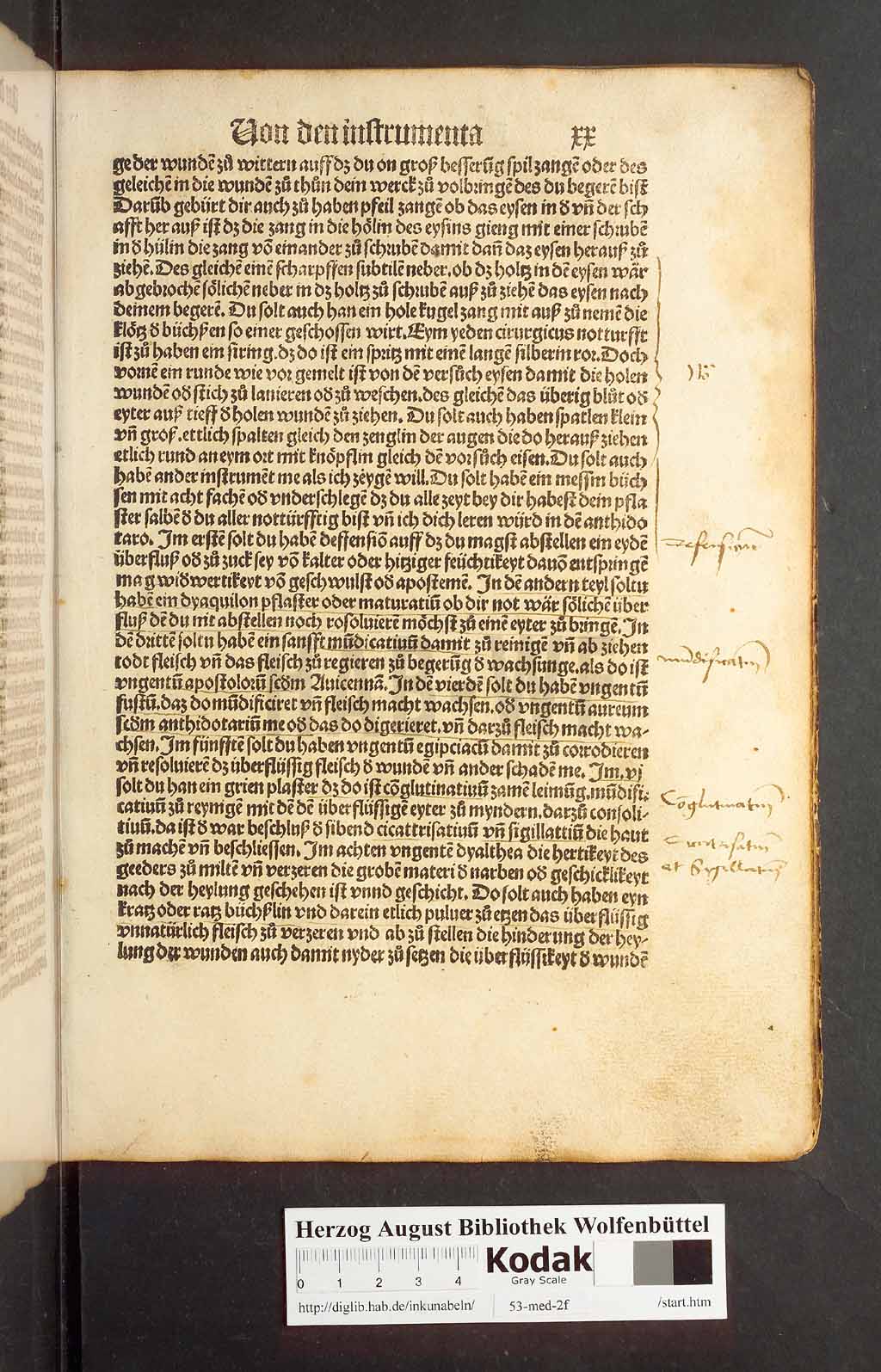 http://diglib.hab.de/inkunabeln/53-med-2f/00037.jpg