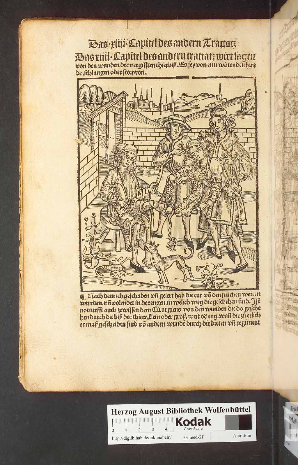 http://diglib.hab.de/inkunabeln/53-med-2f/00068.jpg