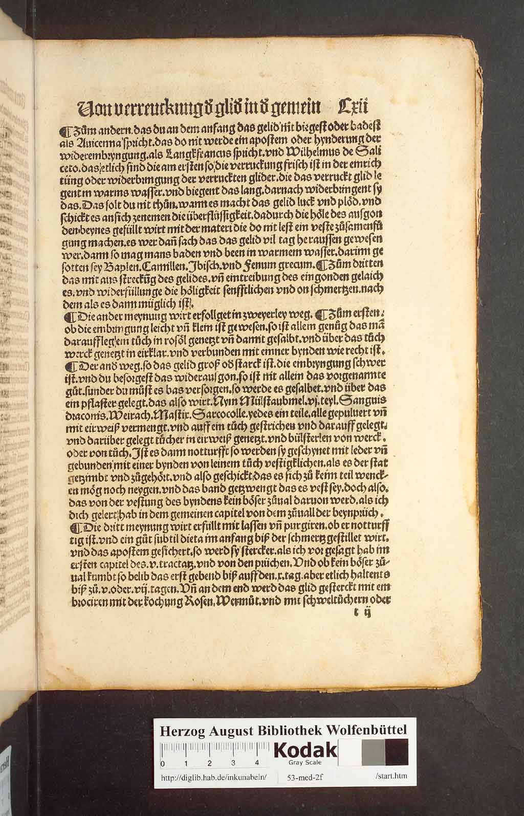http://diglib.hab.de/inkunabeln/53-med-2f/00221.jpg