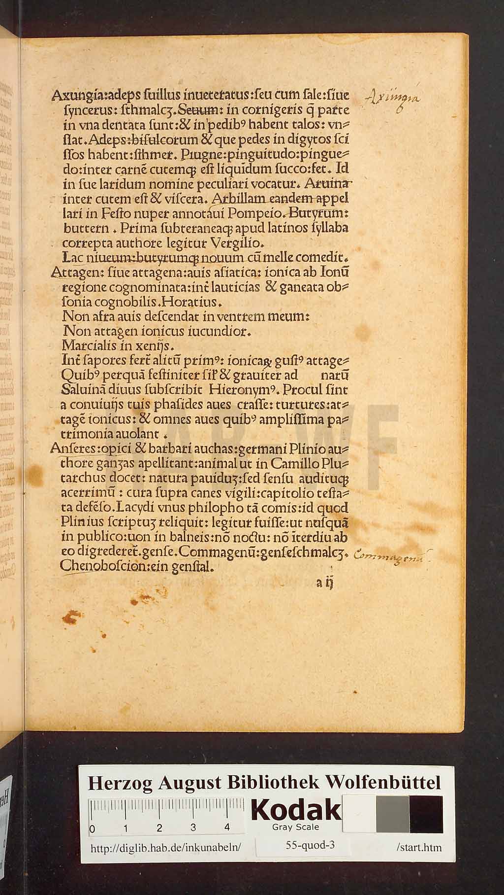 http://diglib.hab.de/inkunabeln/55-quod-3/00003.jpg
