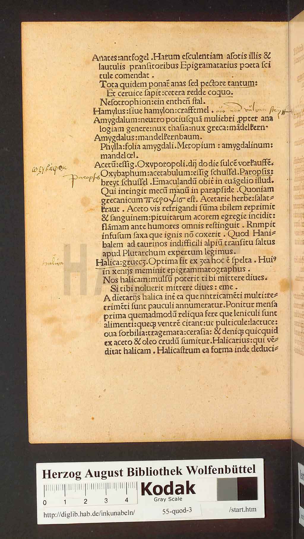 http://diglib.hab.de/inkunabeln/55-quod-3/00004.jpg