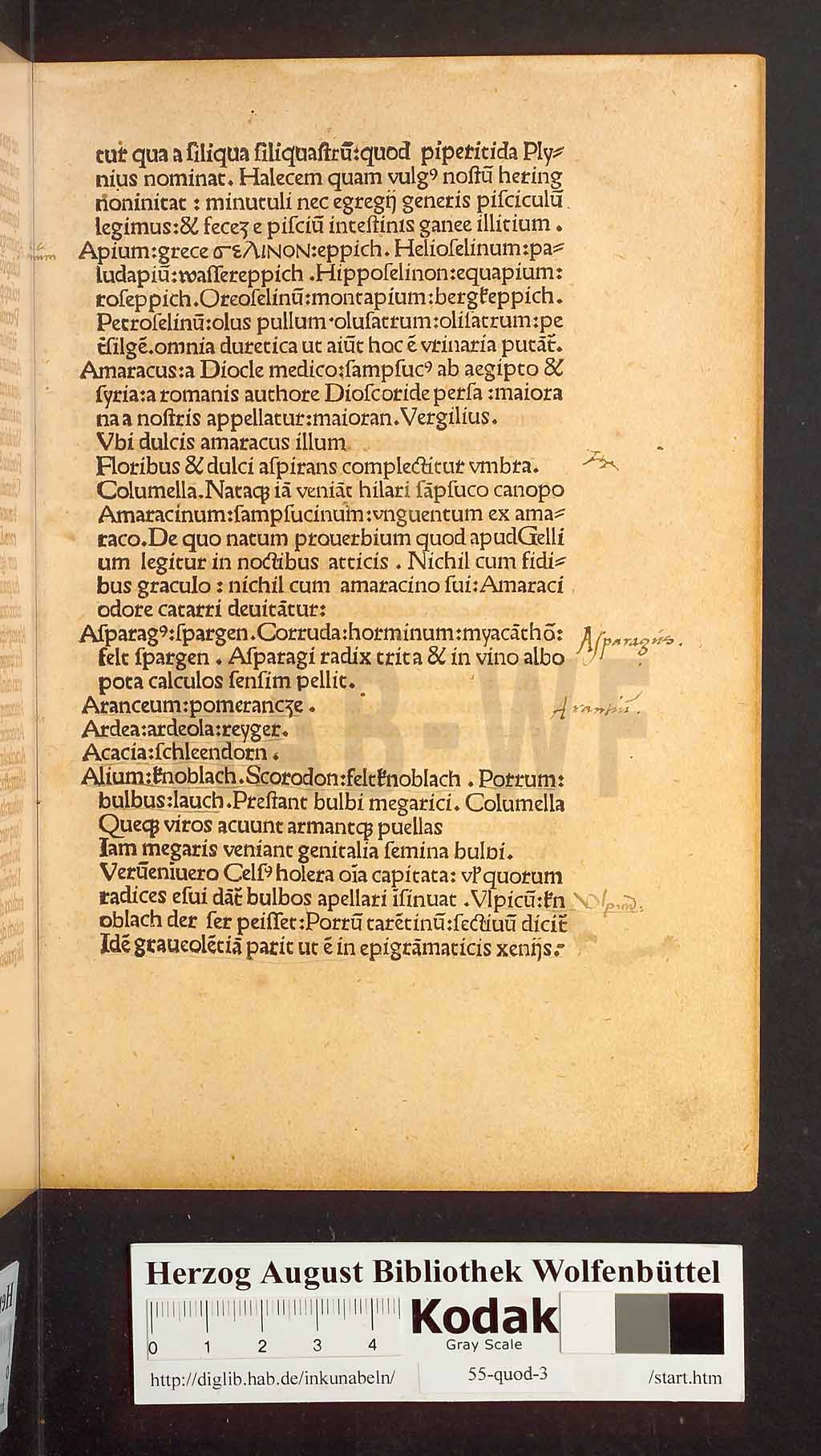http://diglib.hab.de/inkunabeln/55-quod-3/00005.jpg