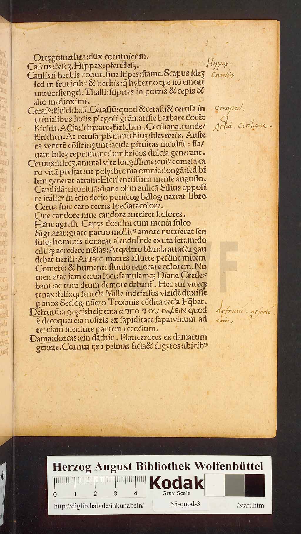 http://diglib.hab.de/inkunabeln/55-quod-3/00011.jpg