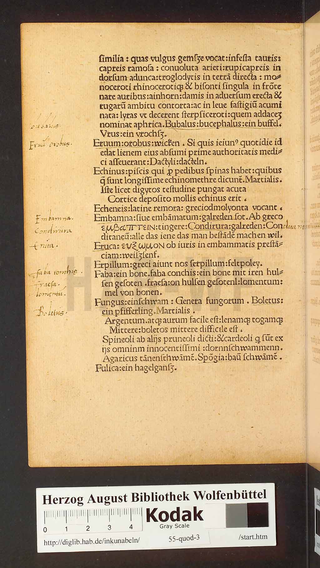 http://diglib.hab.de/inkunabeln/55-quod-3/00012.jpg