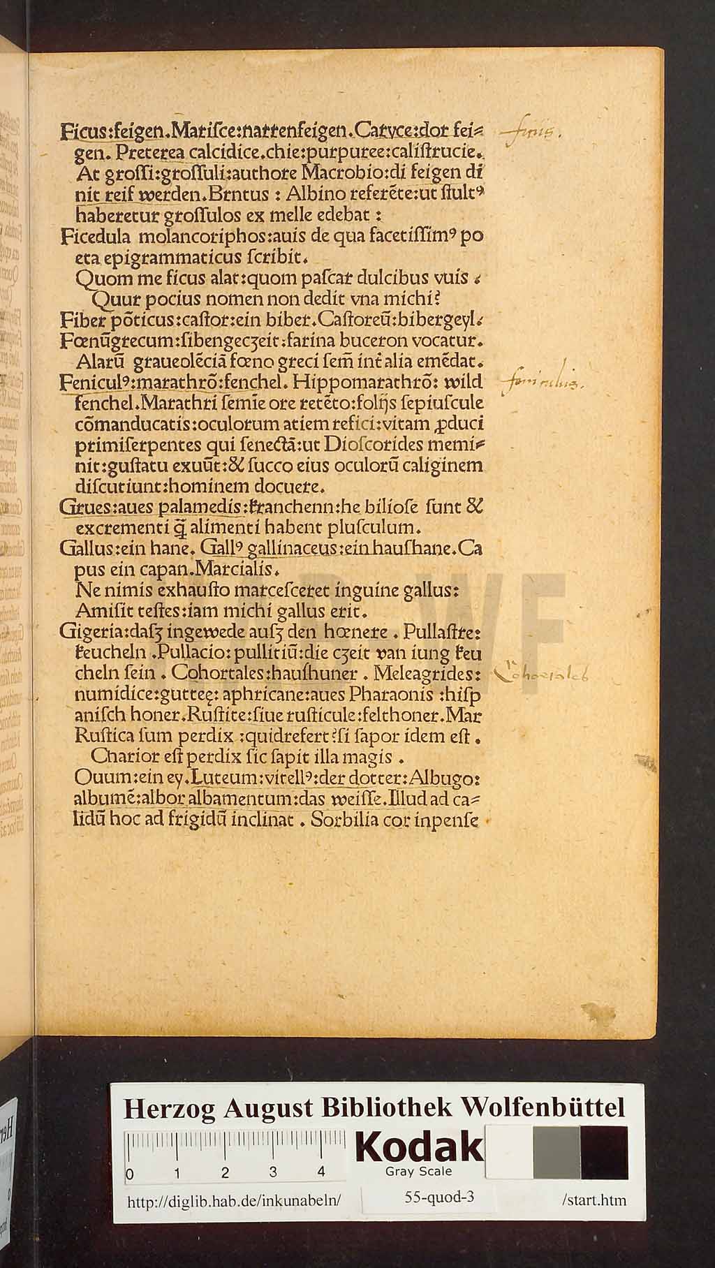 http://diglib.hab.de/inkunabeln/55-quod-3/00013.jpg